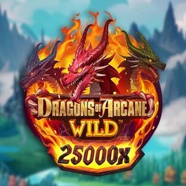 Try Dragons of Arcane Wild slot by Foxium on stakekasino.eu.com – logo image