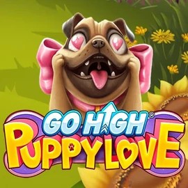 Go High Puppy Love game by RubyPlay – logo hosted on Stake Casino