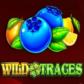 Wild Traces logo by Amusnet Interactive at Stake Casino